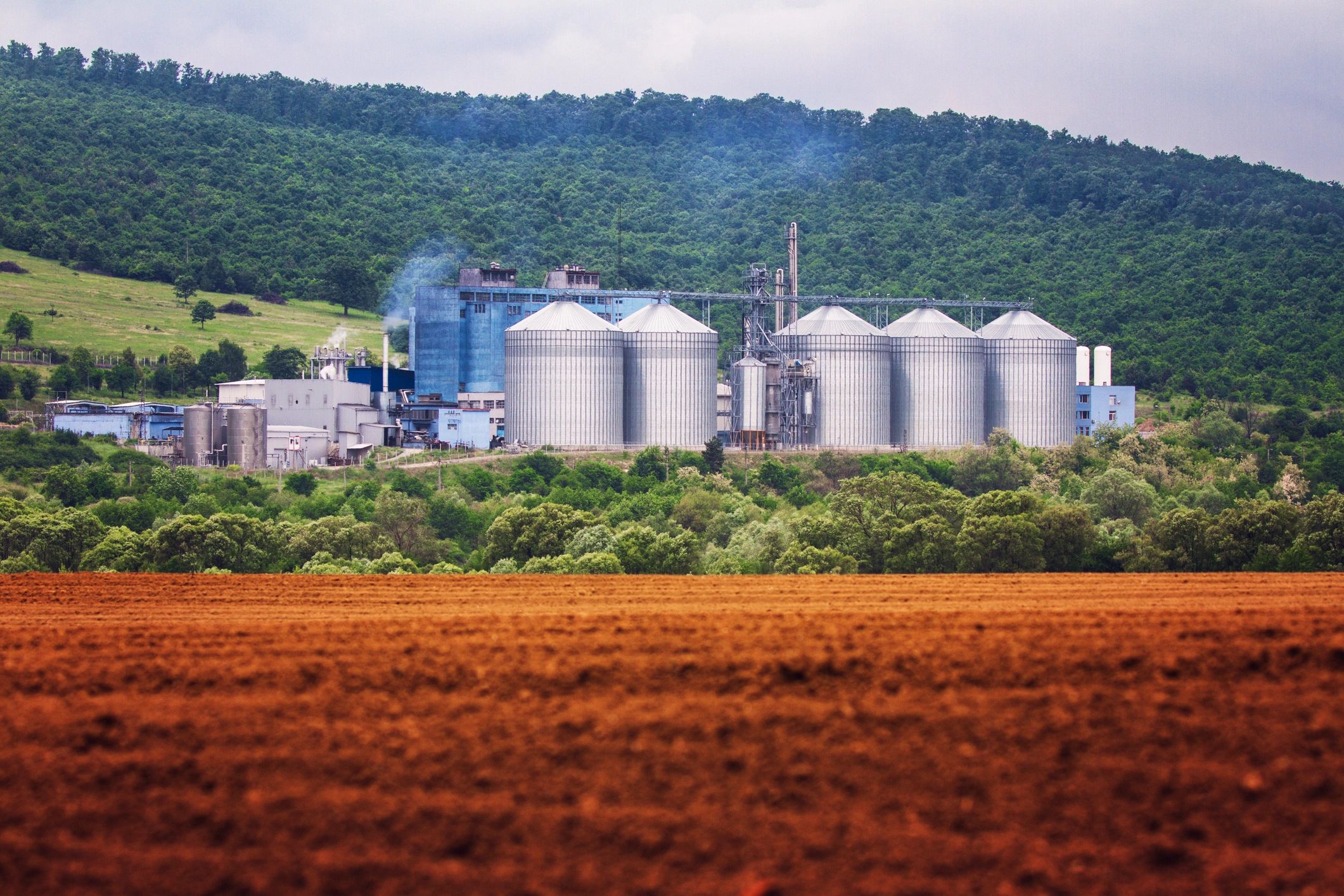 Global grain commodities export